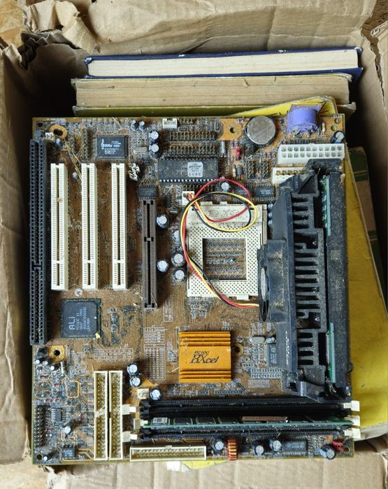 X-box,  pc  plya  glowna inne elwktonika
