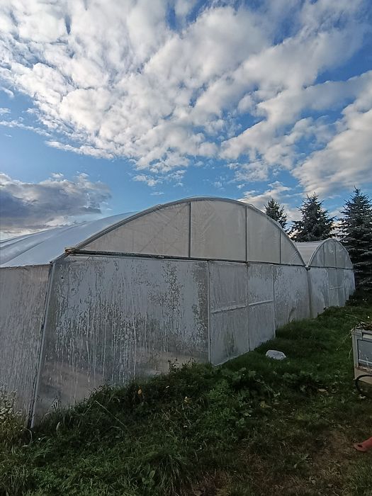 Tunel foliowy zblokowany, blok foliowy ,(szklarnia, pomidor, Ogórek)