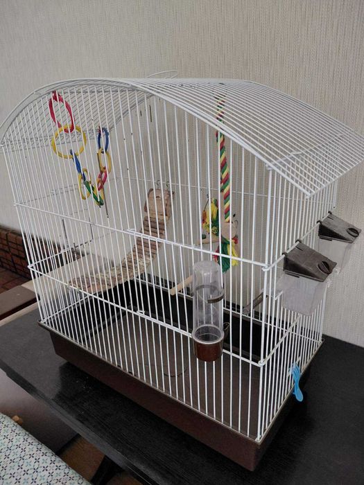 Клітка для папуги