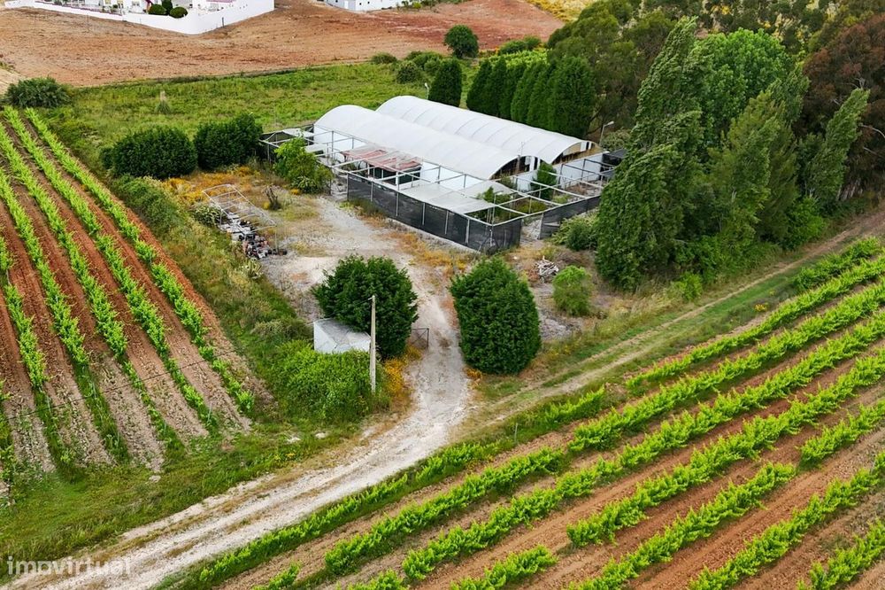 Agricultural Land and Vineyard