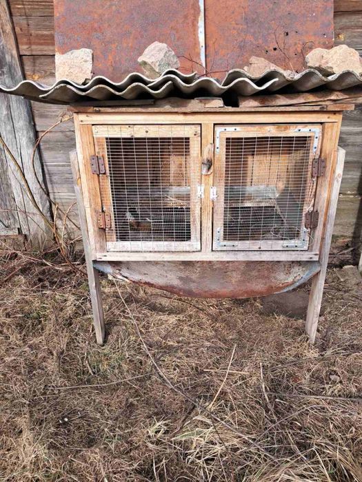 Клітки для кролів