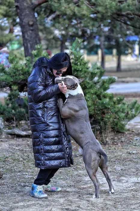 Станьте частиною амстафф родини