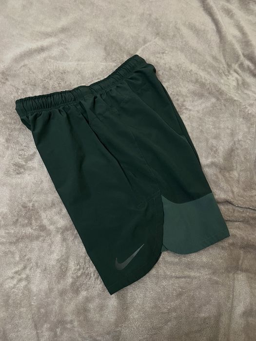 Чоловічі шорти Nike dri fit