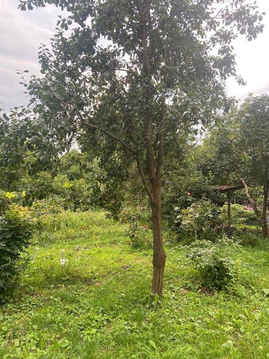 Продам дім, за містом із земельною ділянкою