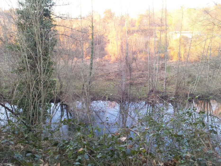 Vendo terreno com 4958m2 junto à Praia fluvial do Arco de Baúlhe