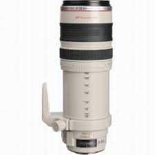 Canon EF 28-300mm f/3.5-5.6 L IS USM