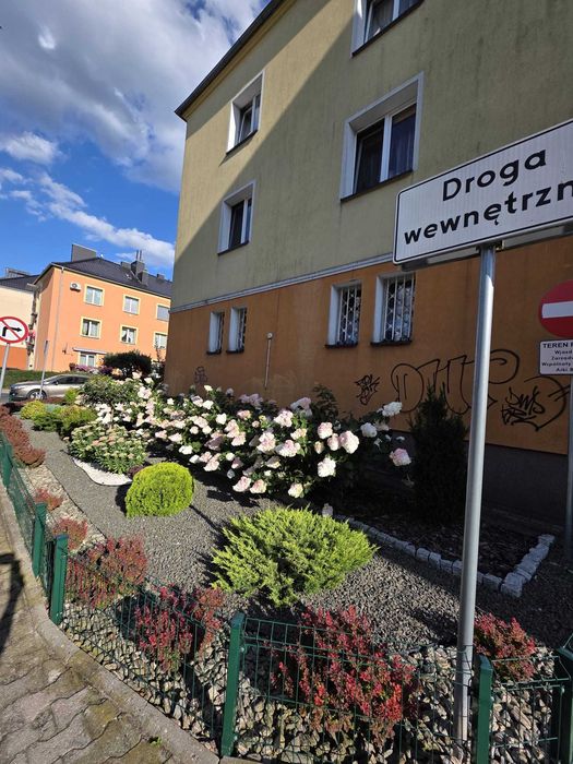 Zdjęcie 8