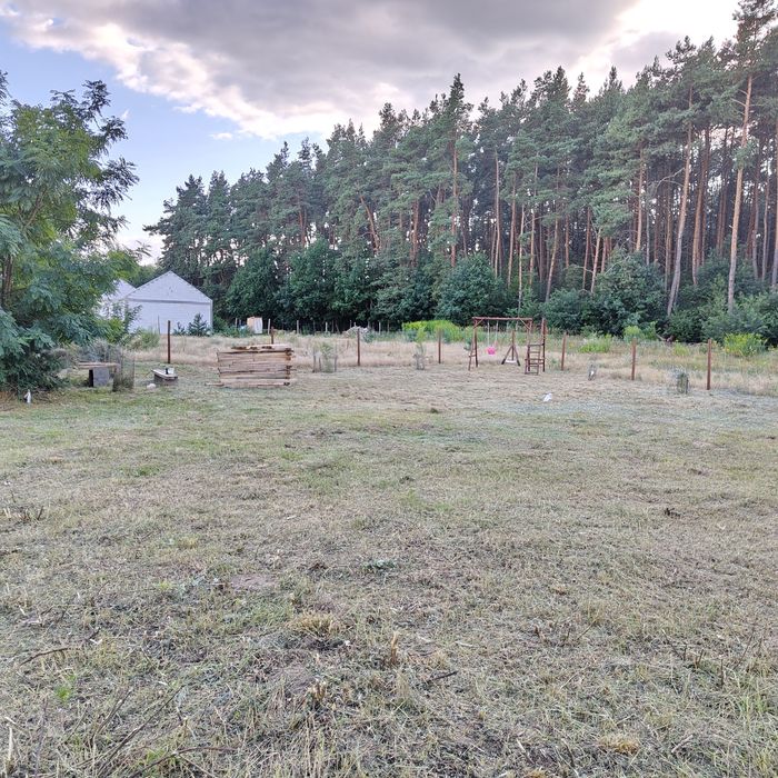 Działka budowlana pod lasem Wudzyn