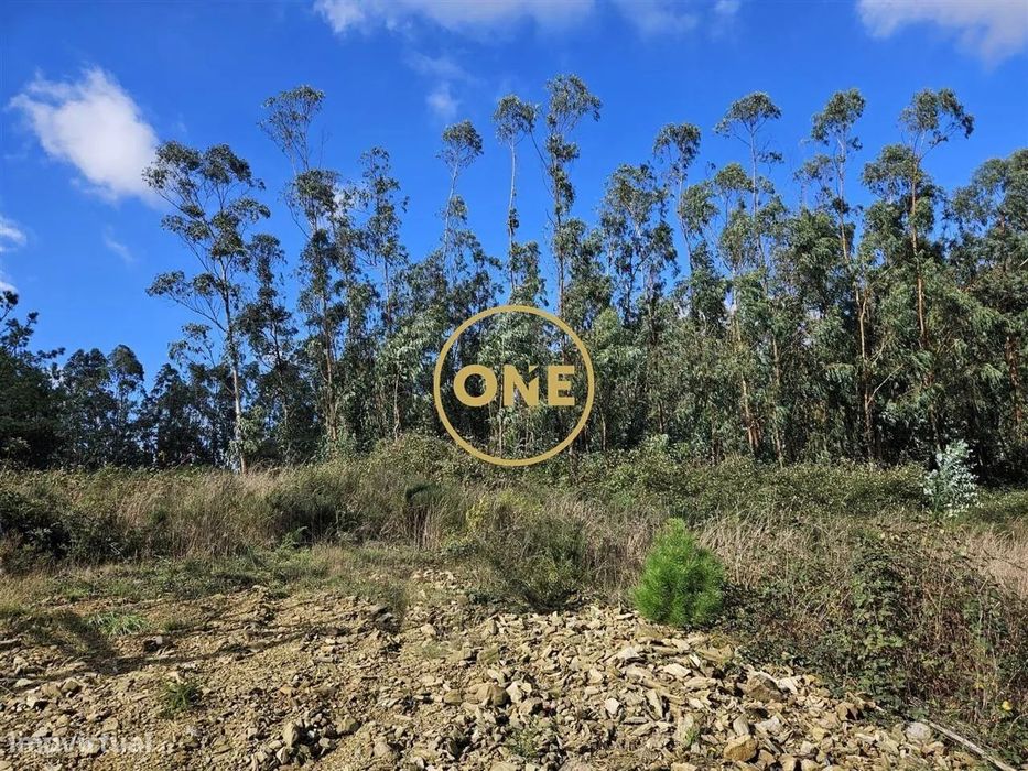 Terreno Florestal com 14.500 m2 em Balazar