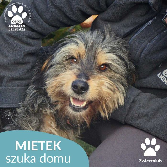 Mietek – gotowy na nowy rozdział swojego życia.