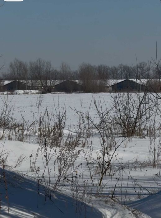 ПРОДАЄМО земельну  ділянку 20 ГА по 300 уе/сотка в Димері, Вишгородський р-н !!