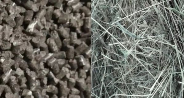 Сіно та корм для гризунів