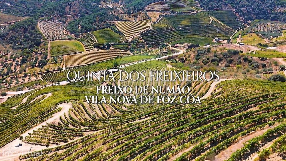Terreno  para venda