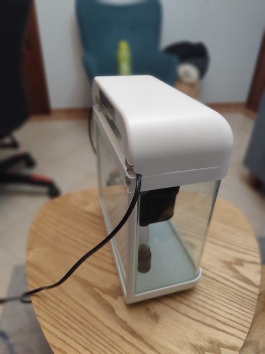 Aquário 7 Litros + Esponja de Filtro (Como Novo)