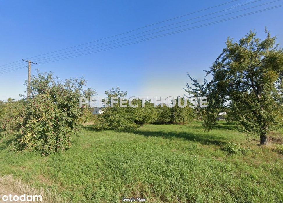 Działka budowlana 1025 m² w gm. Kwilcz - Widok 5