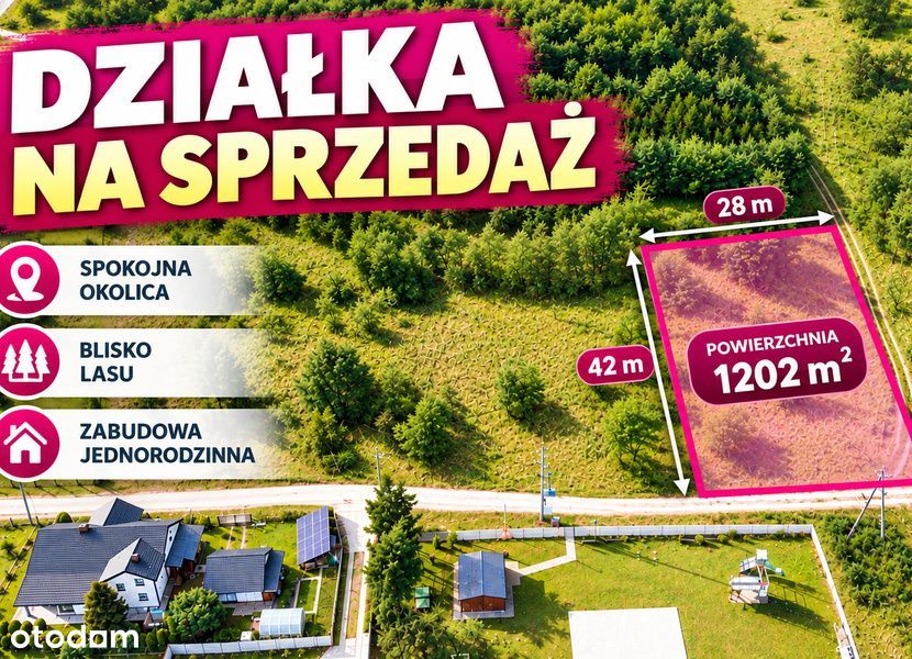 Cisza I Spokój W Sąsiedztwie Lasu
