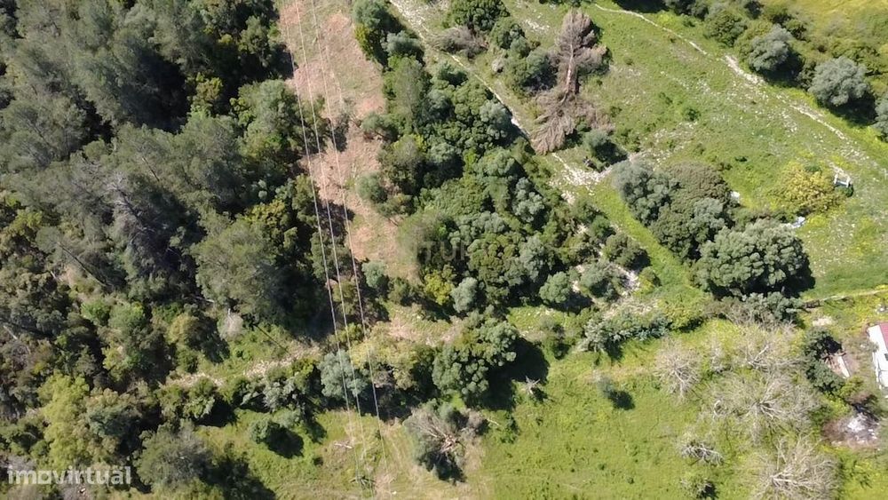 Agricultural Land