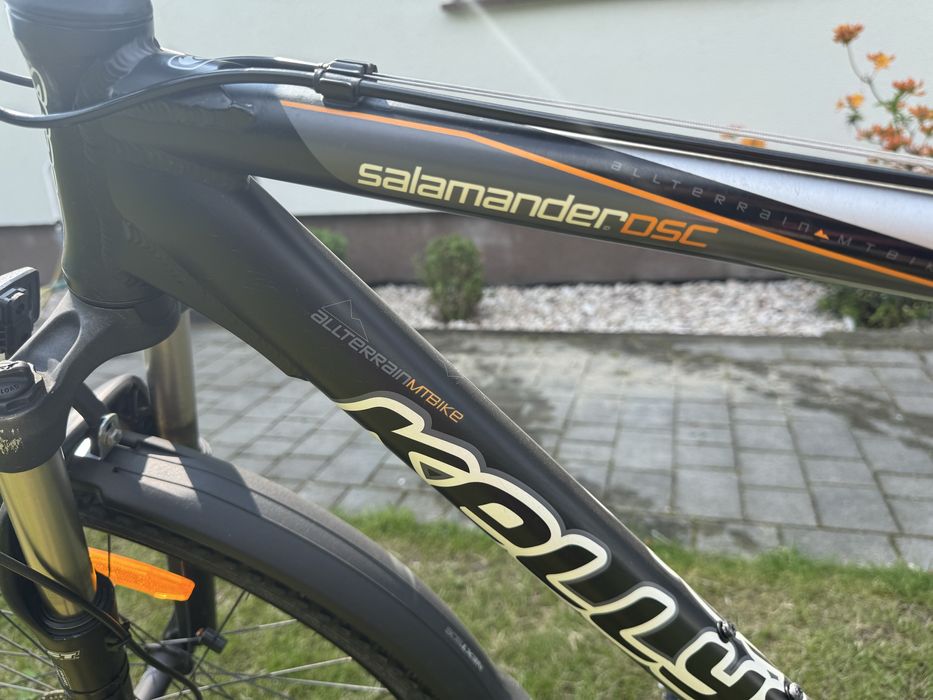 Rower kellys  salamander