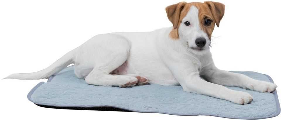 COLCHÃO REFRESCANTE 60x50 cm