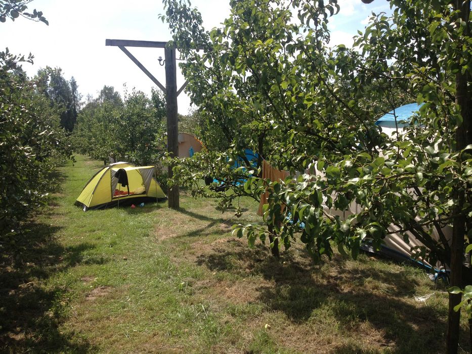 Agroturystyka Chata Pod Dębami, całoroczna, 80 km od Warszawy