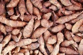 Topinambur piękny duży, bardzo zdrowy.