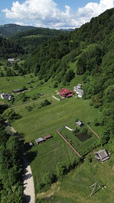 Продаж земельної ділянки в Карпатах с. Прокурава власний вихід у ліс Поруч гірська річка 31 сот. під ОСГ БЕЗ КОМІСІЇ - View 5