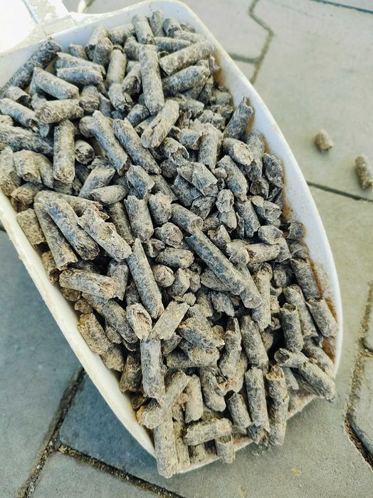 Wysłodki buraczane melasowane, niemelasowane - cena brutto z dostawa