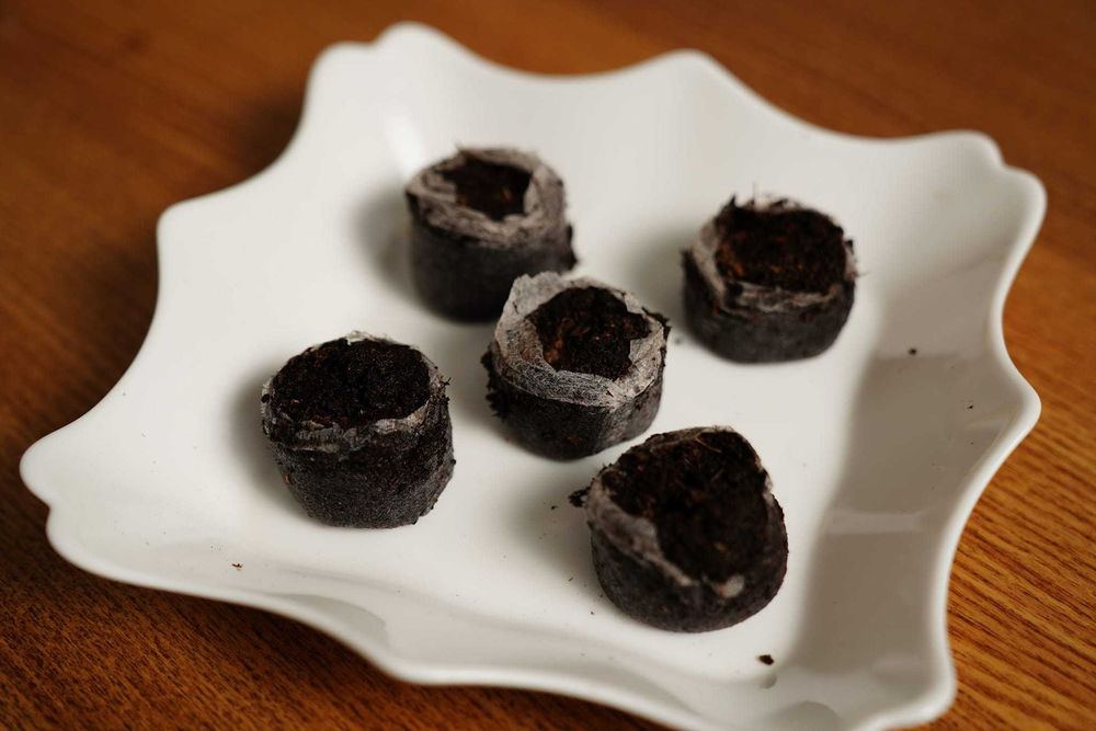 Таблетки для розсади