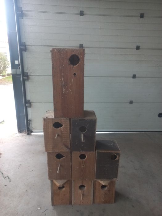 Ninhos caturra e várias gaiolas.