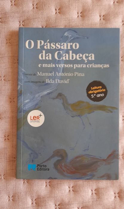 Livro "O Pássaro da Cabeça"