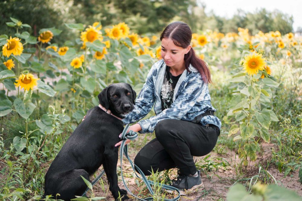 Roczny Dżager szuka domu!