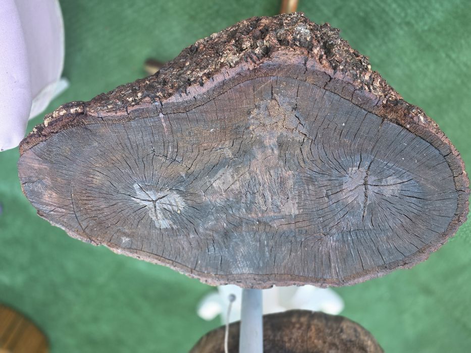 Mesa de apoio sobreiro