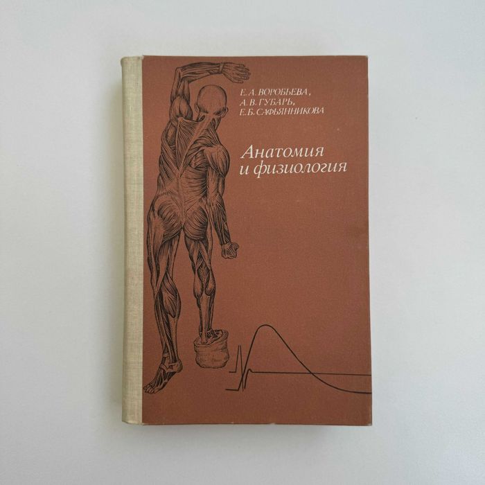 Анатомия и физиология 1981