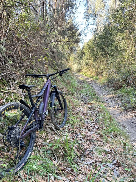 Orbea rise H 30 impecavel