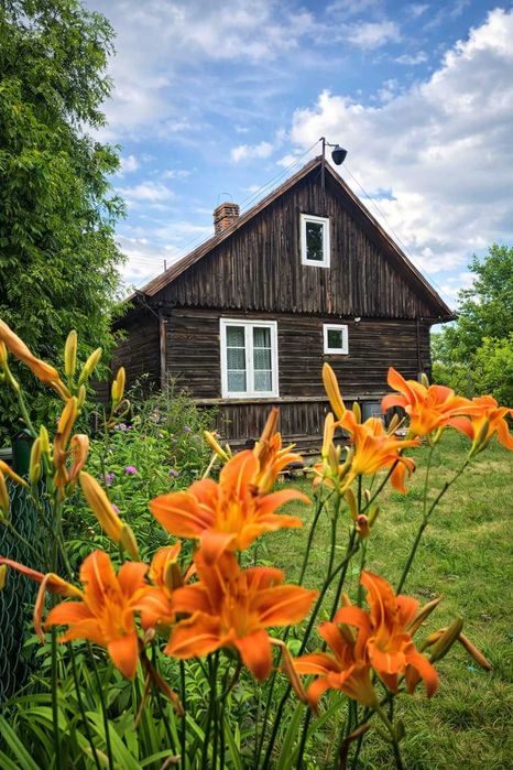 domek letniskowy nad jeziorem -  Kociewie- wynajem