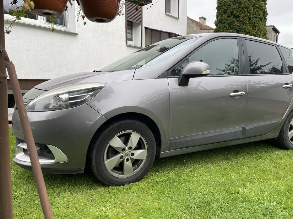 Renault scenic godny polecenia