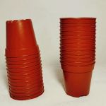 Vasos de Plastico 5,5 cm para Cactos e Suculentas