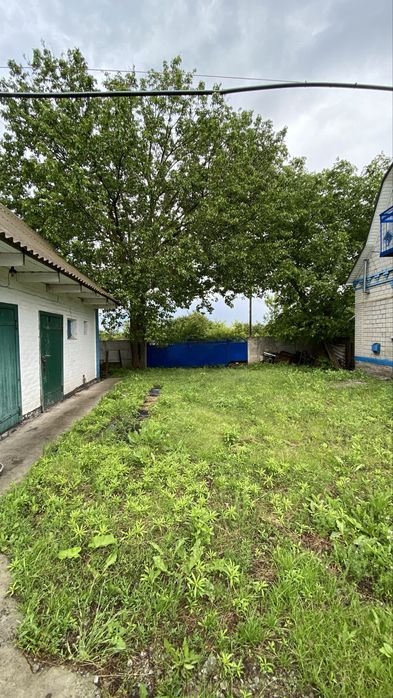 House in Ozerne, Boryspilskyy rayon - View 3