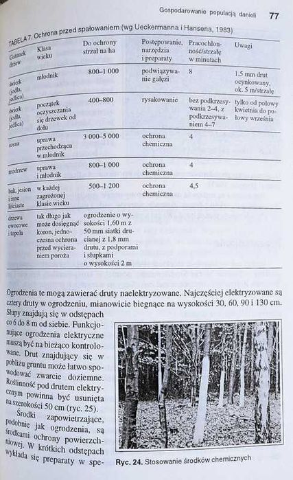 Ryszard Dzięciołowski - Daniel (miękka)