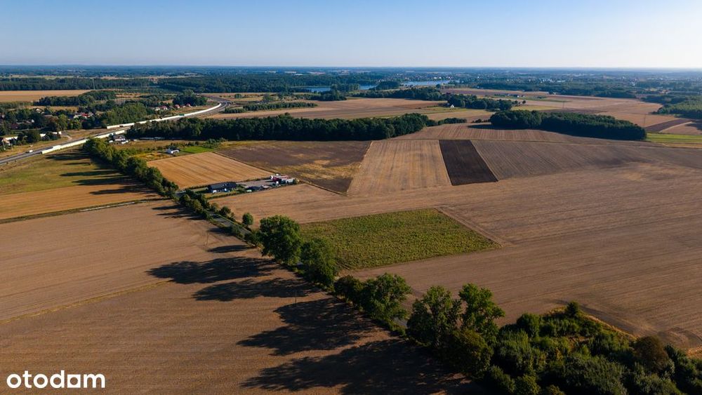 Działki pod dom | Olchowo | 1200 m² | 99 zł/m²
