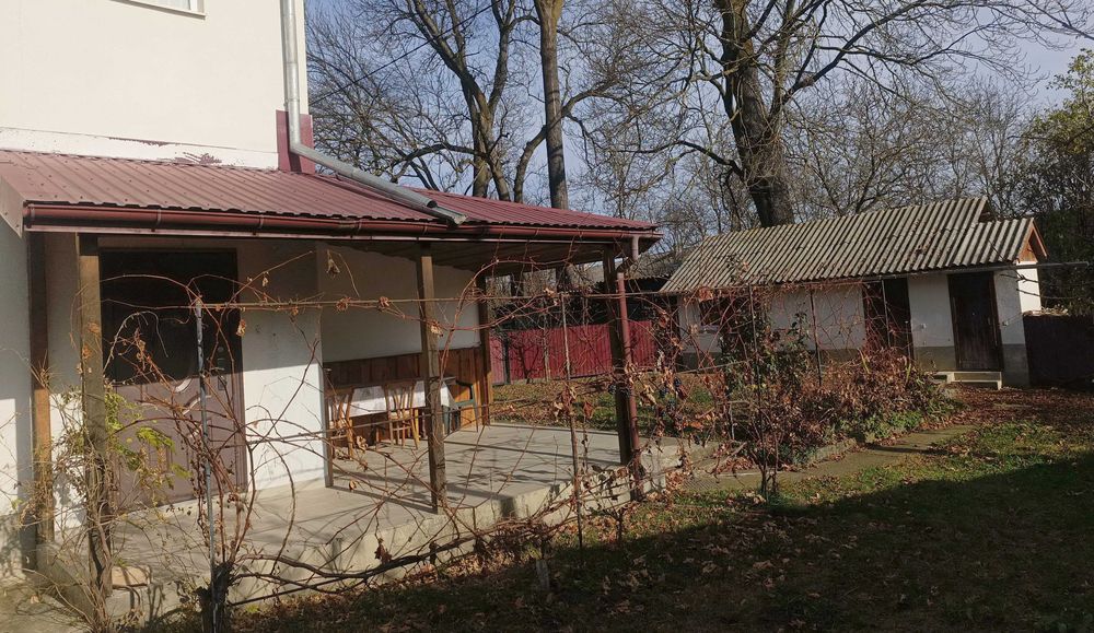 Будинок в центрі селища Солотвин під бізнес