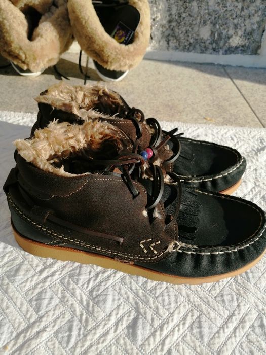 Vários modelos Dolfie