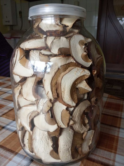 Гриби білі сушені.