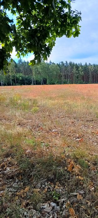 Atrakcyjna działka budowlana. Najlepsza inwestycja.