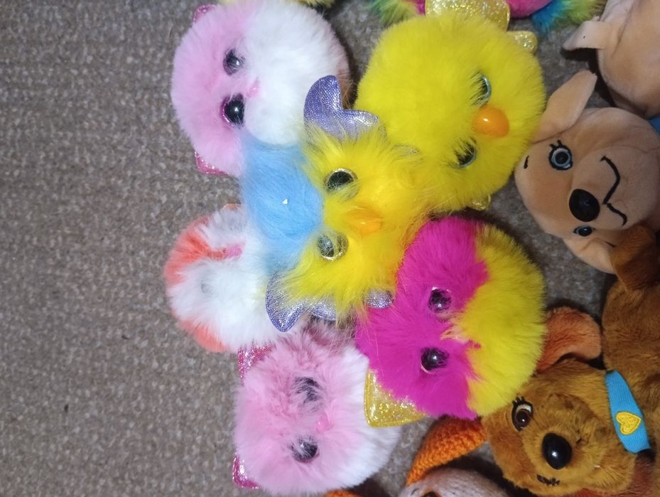 М'які іграшки TY Beanie Boo's, їжачки атб, Doki Doki Sbabam