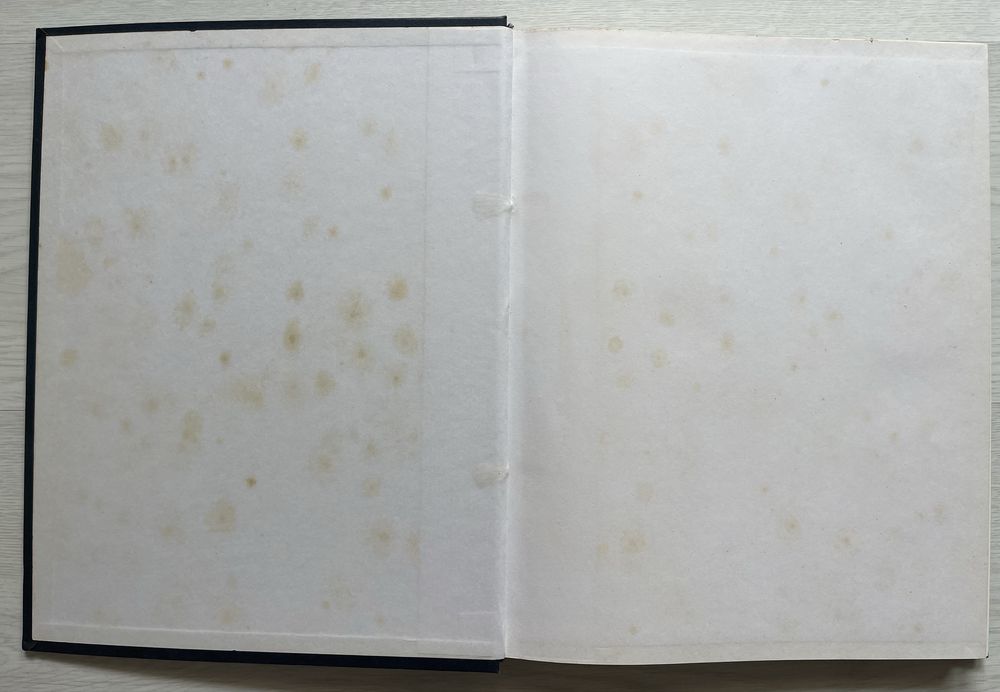 Coleção História Universal da Pintura