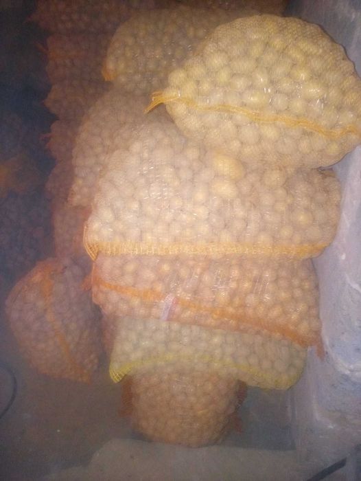 Sprzedam ziemniaki paszowe