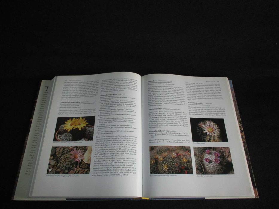 Livro The Cactus Family Edward F. Anderson