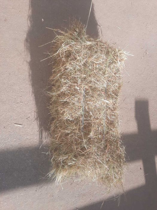 Продам якісне лугове сіно в тюках