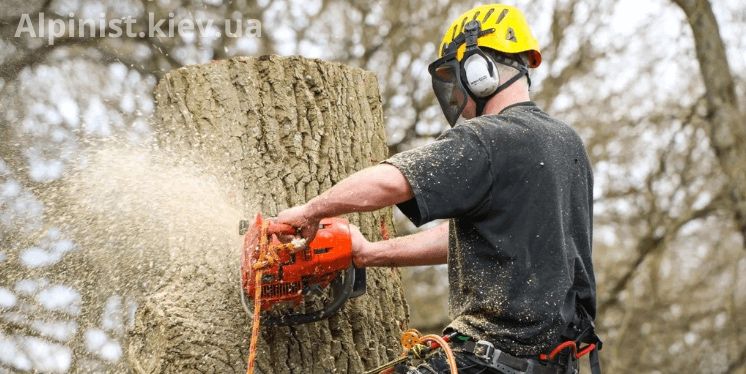 Спил деревьев по городу Каменское
